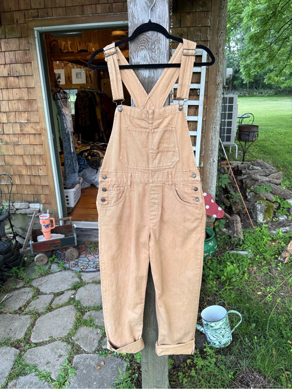 Free People We The Free Ziggy Overalls